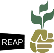 Reap Logo